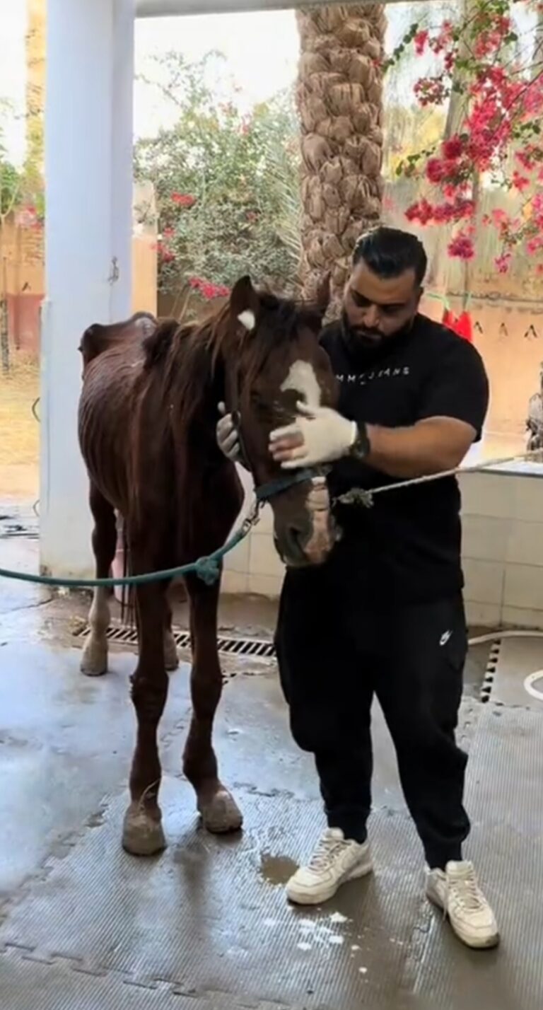 IMG_20250224_212338