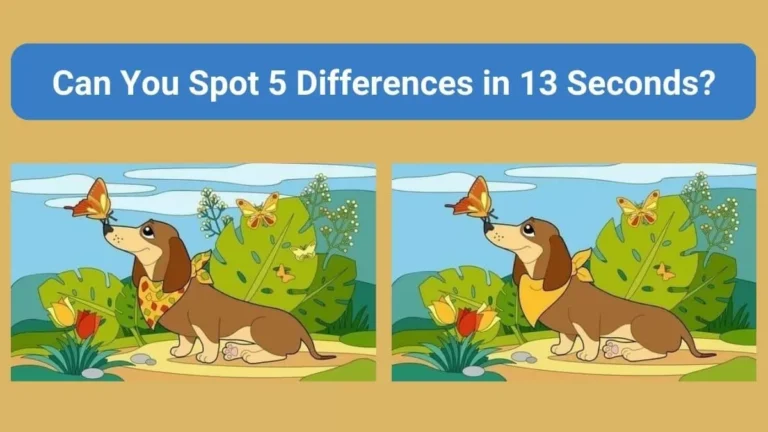 Spot-5-Differences-in-13-Seconds
