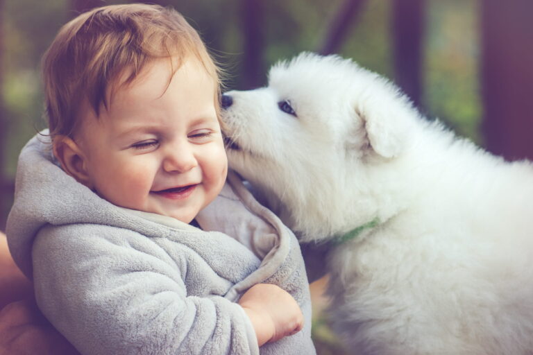 iStock-883150504