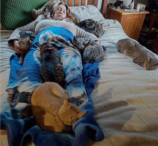 Cats Cuddle With Mom To Help Her Feel Better After Surgery