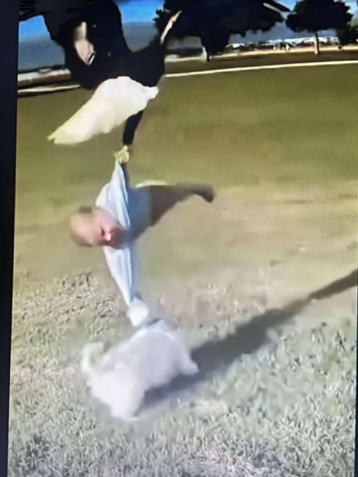 A Scene No One Expected…