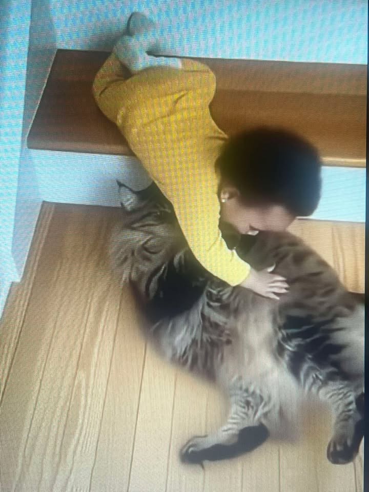 A moment that changed everything… and a quiet little hero who saved the day.