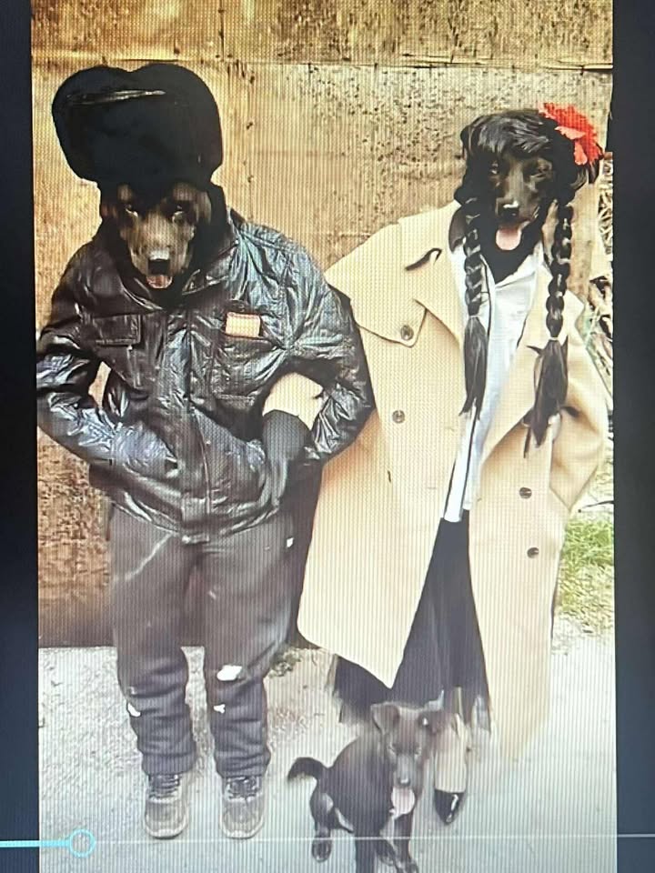 When dogs decide to live like humans!