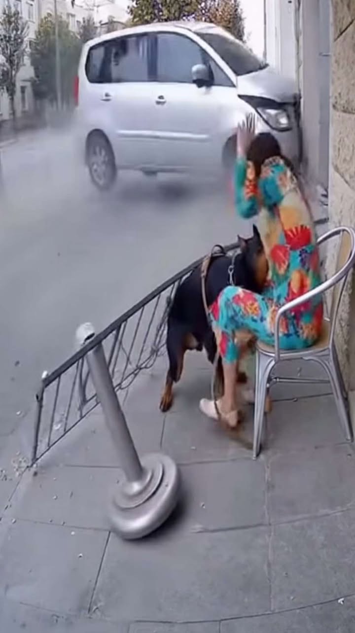 The Dog Who Felt the Danger and Saved His Owner’s Life