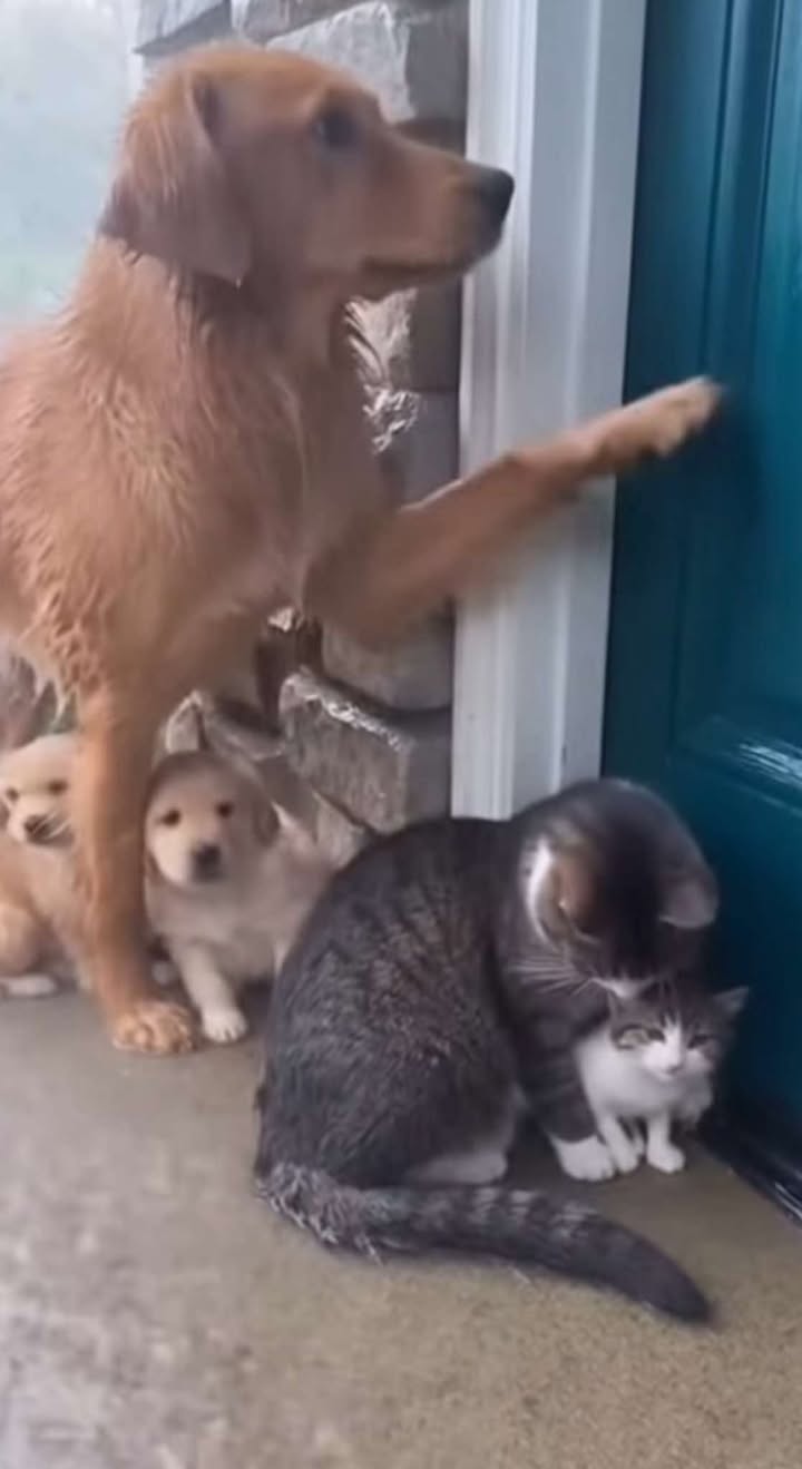 🌧️ The rain won’t stop… and no one is waiting for us.