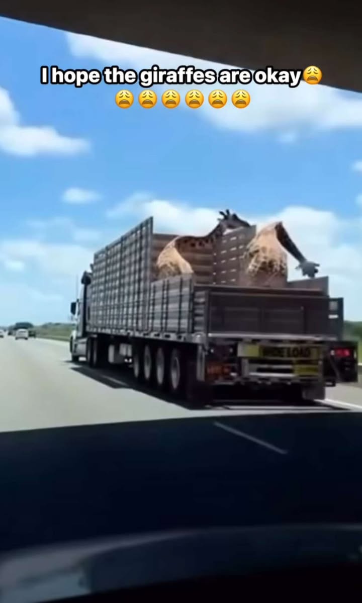 A video that leaves everyone speechless…