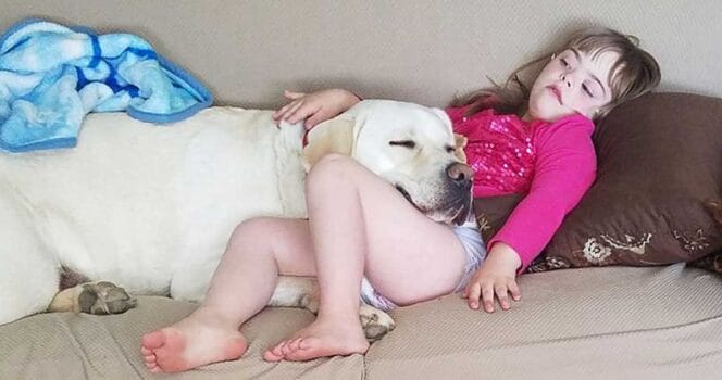 The incredible story of Sadie and her labrador Hero