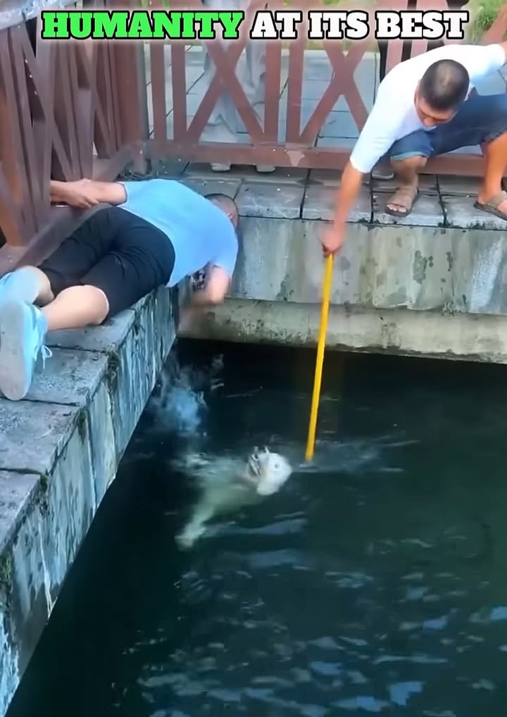 A true story of kindness…