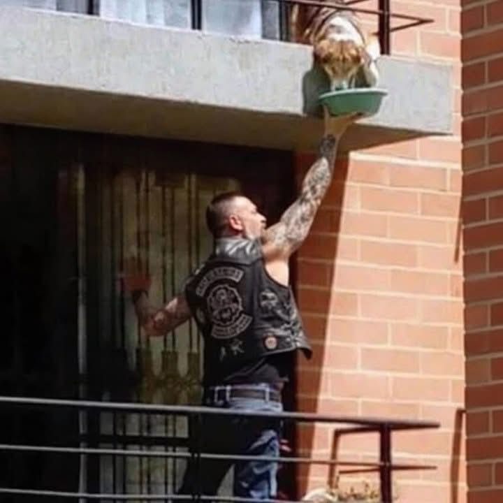 I was about to call the police on the biker climbing my neighbor’s balcony—until I realized what he was feeding.