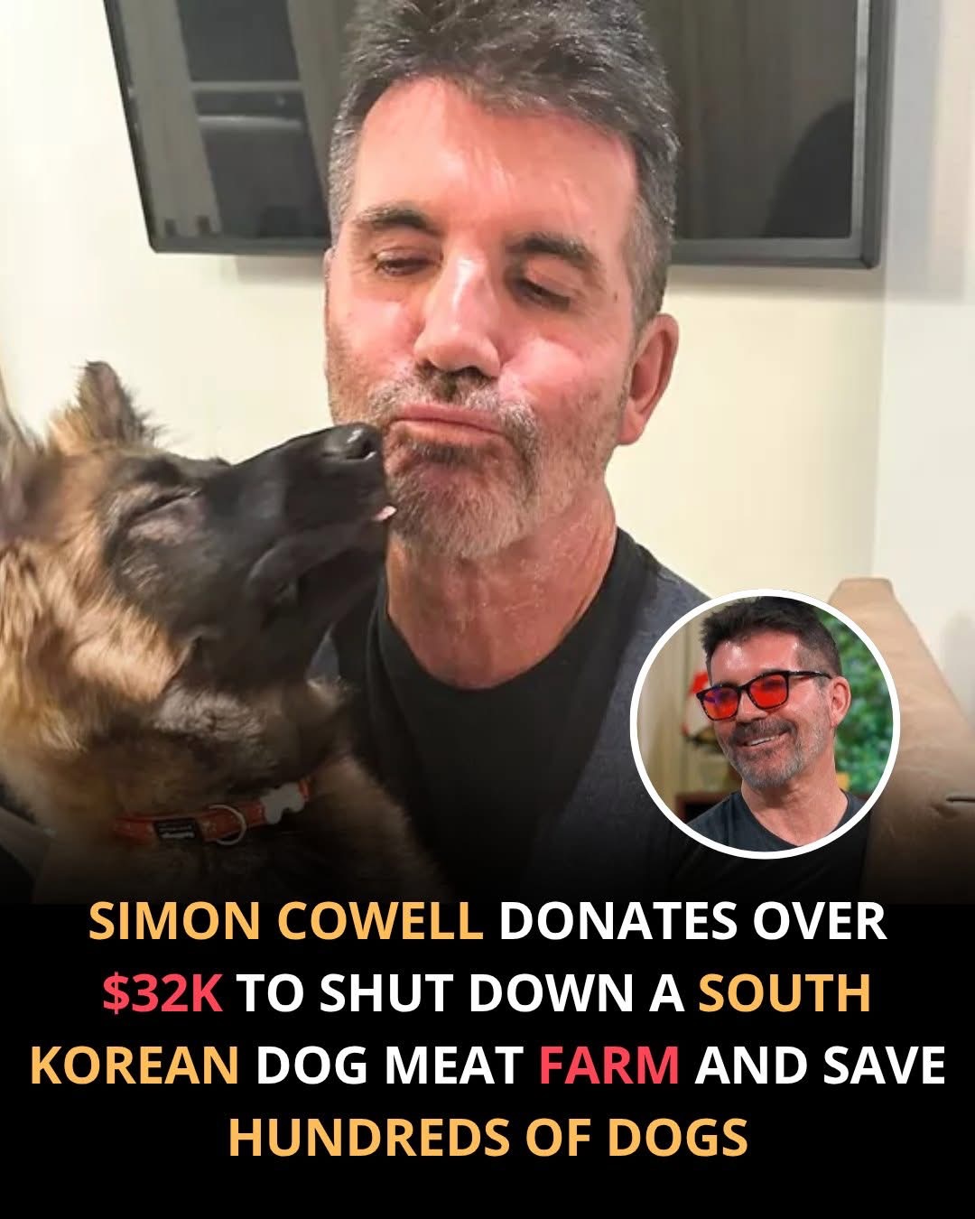 He didn’t do it for fame. He did it because every life deserves a chance.