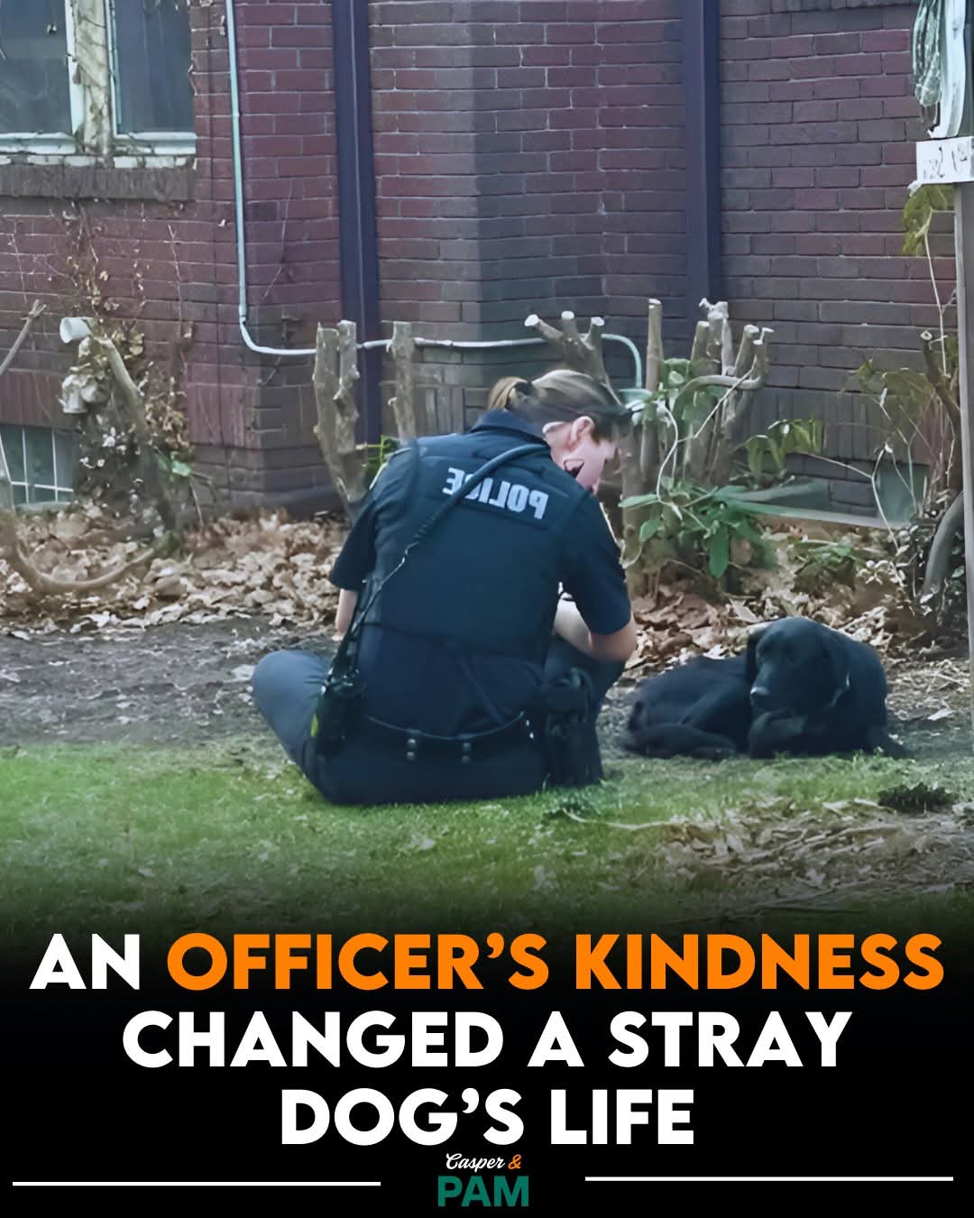 “A Simple Act of Kindness That Changed a Life”