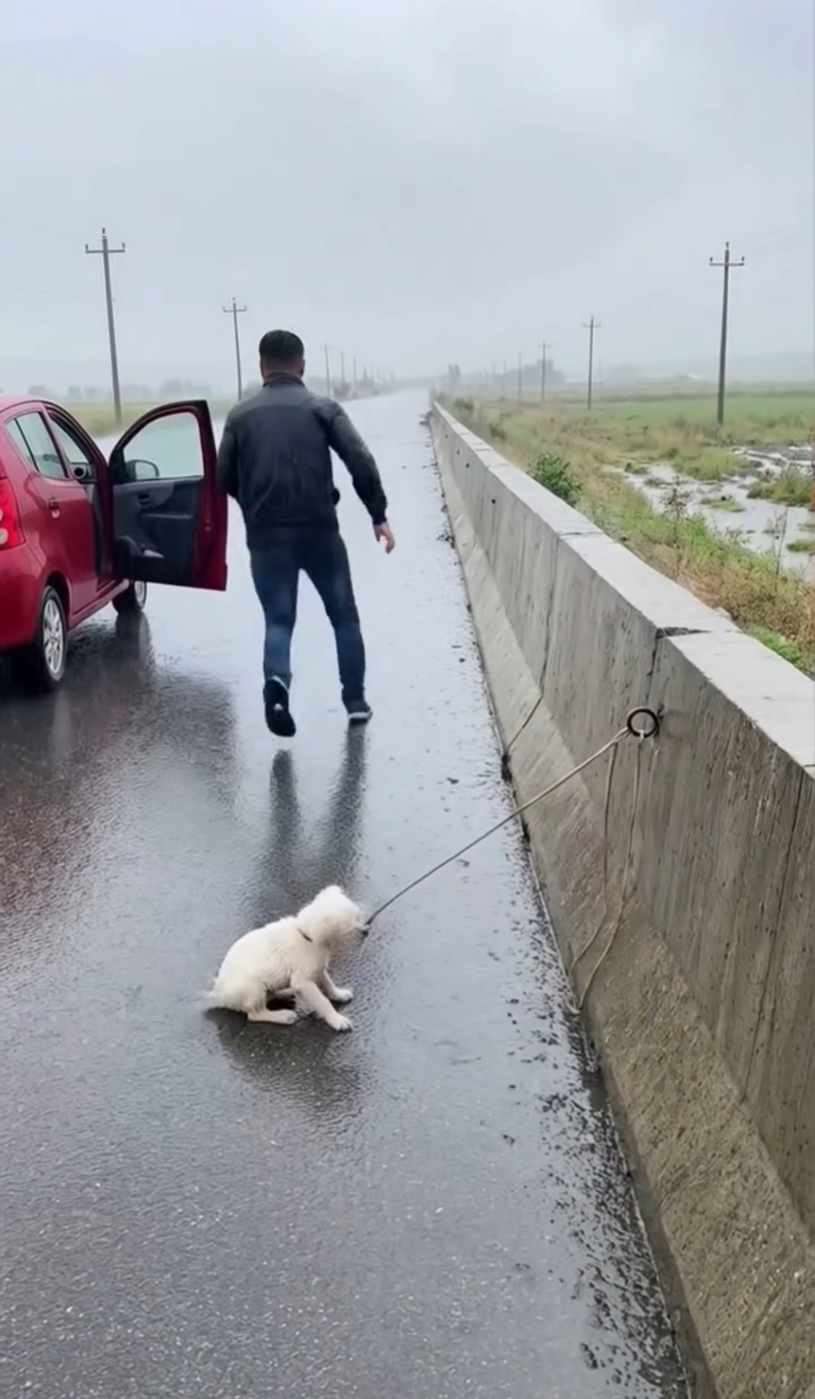 The rain was pouring down, and the road ahead looked endless…But something on the side of the highway made me stop.