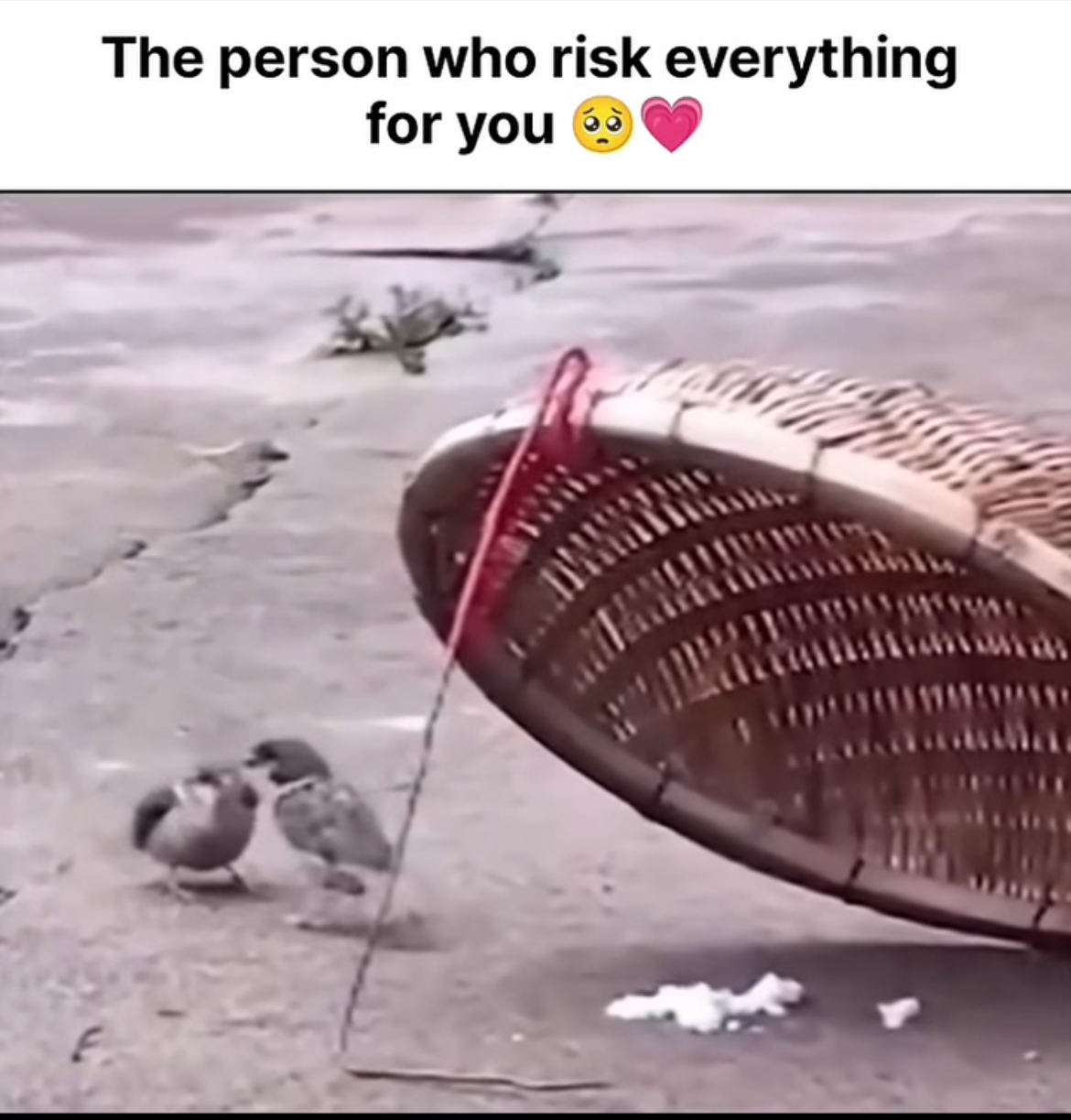 The person who risk everything for you 🥺♥️