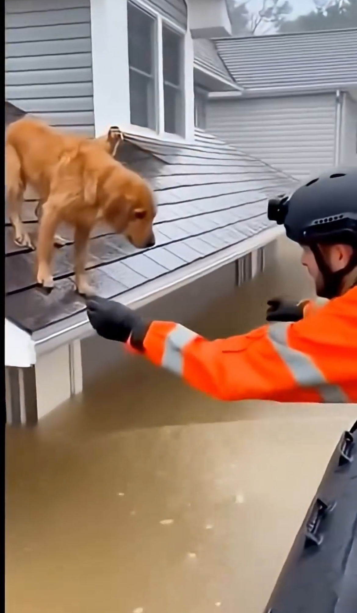 A Story of the Rising Waters