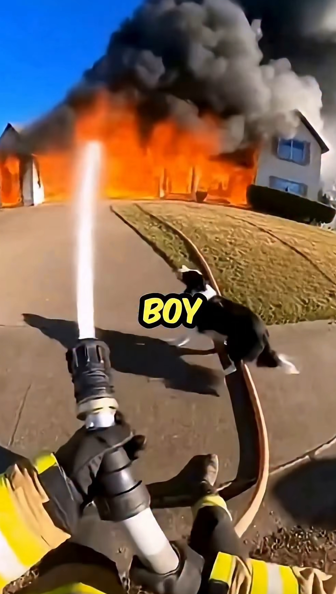 A Mother’s Plea: The Fire and the