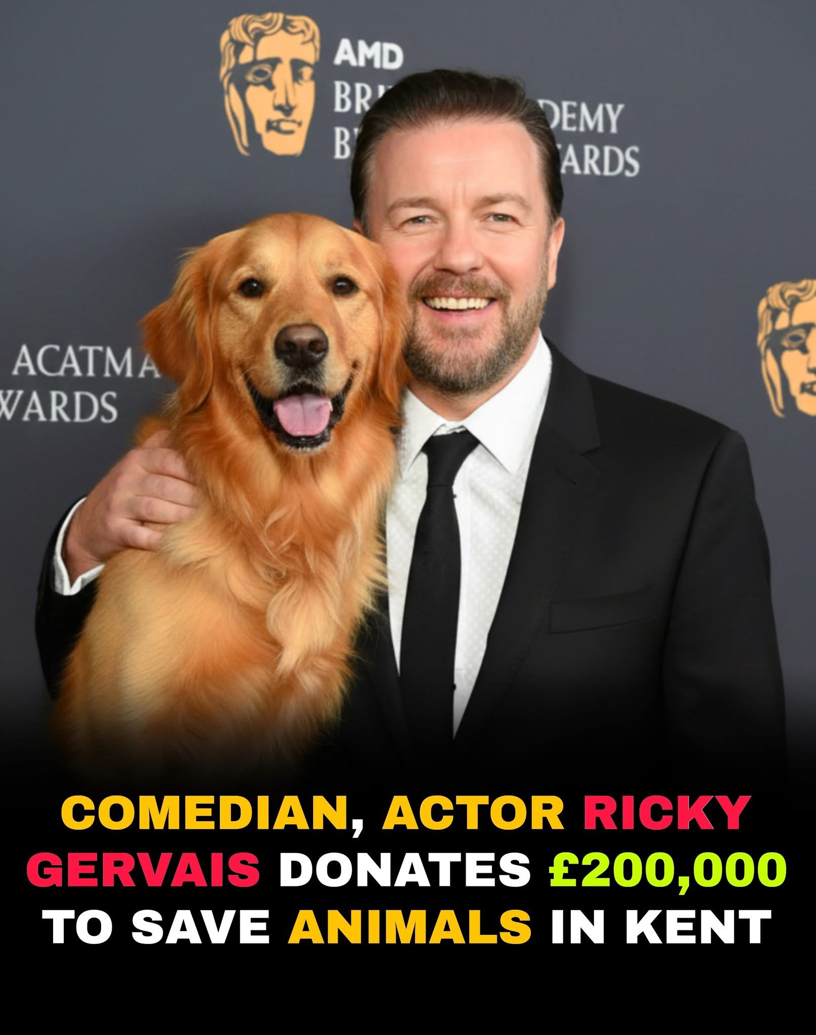 🐾💛 RICKY GERVAIS DONATES £200,000 TO SAVE ANIMALS IN KENT! 💛🐾