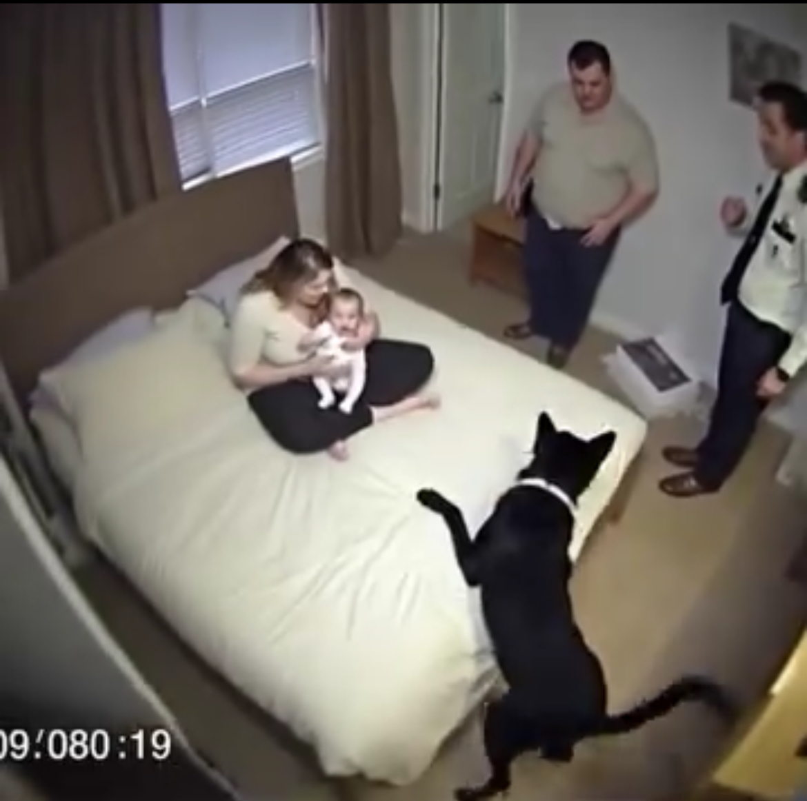 NIGHT AFTER NIGHT, THE BLACK DOG GROWLED AT THE INFANT, UNTIL THE FATHER CALLED THE POLICE AND DISCOVERED THE CHILLING TRUTH HIDDEN BENEATH. Since the newborn arrived, Ink, the black dog, never left the bedroom. Son and Han initially welcomed it: a devoted dog guarding their child and the door. But after just three nights, peace vanished. On the fourth night, at exactly 2:13 a.m., Ink crouched stiffly on all fours, the hair on his back raised, and began growling at the crib. No barking, no attacking — just a long, twisted growl, like something unseen was choking him. Son switched on the lamp and moved closer. The baby remained asleep, lips moving as if sucking, making no sound. But Ink kept his eyes fixed under the bed. He lowered his body to the floor, pushing his muzzle into the dust, sniffing. Son knelt, activating the mobile flashlight. Only boxes, spare diapers… and a dark shadow rippling like endless water appeared. On the fifth night, the same scene repeated. On the sixth night, Han shivered at the sound of nails scraping wood: “ret… ret…” slow and deliberate. “They must be rats,” Han whispered, though her voice shook. Son moved the crib next to the closet and set a trap. Ink remained vigilant, growling occasionally as the baby stirred. On the seventh night, Son stayed awake, sitting on the bed edge with only the dim hallway light. He set his mobile to video mode. At 1:58, a gust entered through the window, carrying a damp scent. At 2:10, the house fell silent. At 2:13, Ink woke. First, he pressed his nose to Son’s hand, then slinked under the bed, growling — harsh and long, as if stopping something from escaping. Son shone the light into the gap. Something moved — a pale, dirt-stained hand, folded like a spider. His hand trembled and cut the light. Son backed into the closet. Han awoke, panicked. The baby… slept peacefully, milk on her lips. Son lifted the baby, shielding her, holding a baseball bat. Ink lunged under the bed, growls turning into barks. A crunch — “soat” — then silence. Lights flickered. Something slithered back, leaving a trail of dust. Han sobbed, begging to call the police. Son dialed. Within ten minutes, two officers arrived. One bent down, flashlight on, started moving boxes. Ink stayed guard, teeth bared. “Calm down,” said the cop. “Let’s see…” Under the bed — nothing. Dust and circular marks. The officer’s light found a crack by the headboard: broken wood, wide enough for a hand. Hollow knuckles. “Hidden space,” he whispered. “Any repairs been done here?” Son shook his head. The baby moaned. Ink’s eyes glowed. He turned to the rift, growling fiercely… Watch: [in comment]