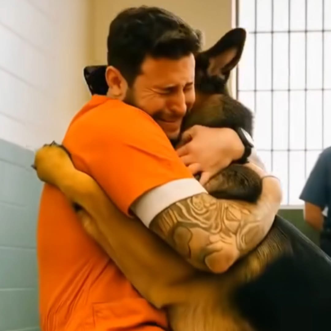 Prisoner’s Final Request to See His Dog Leads to Heartwarming Moment