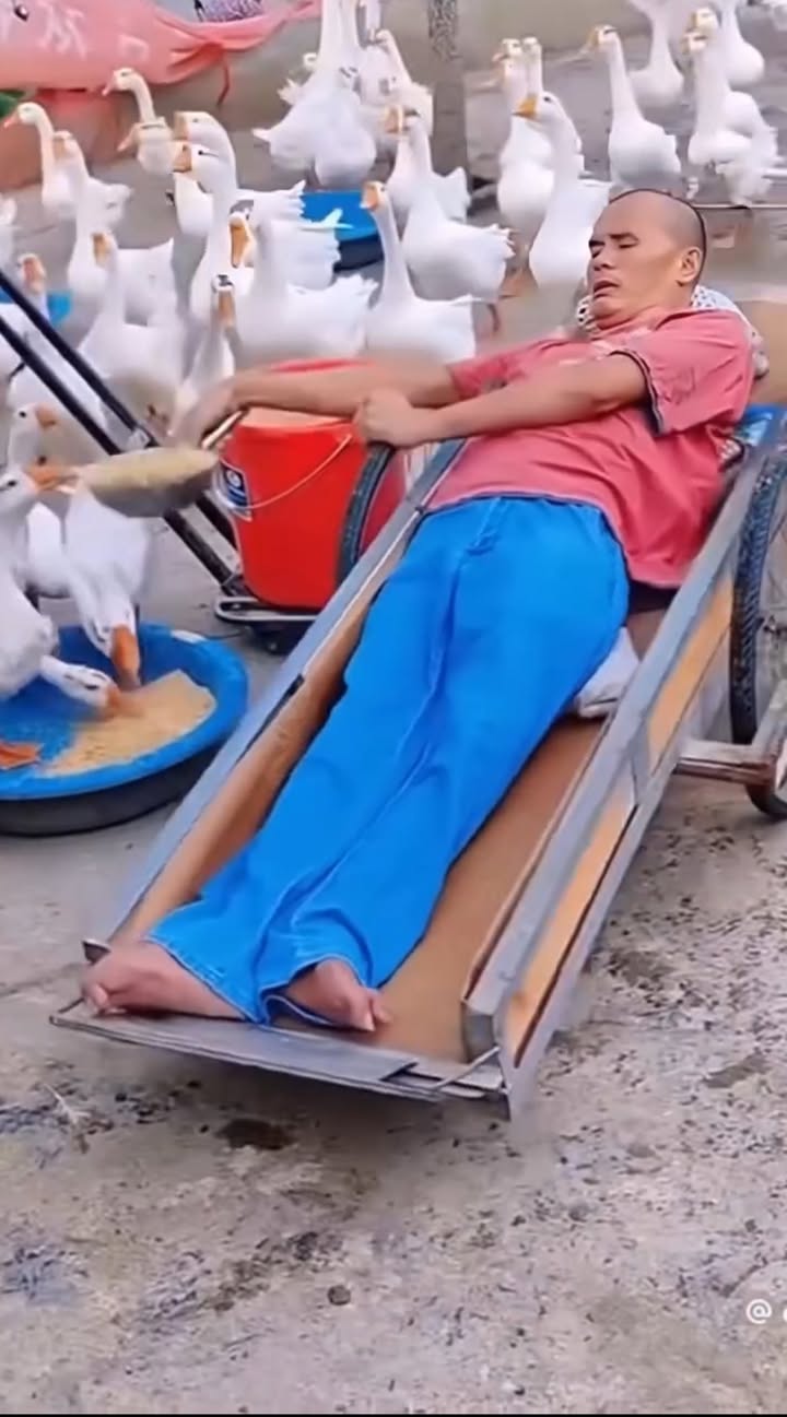 The Man Who Fed the Morning