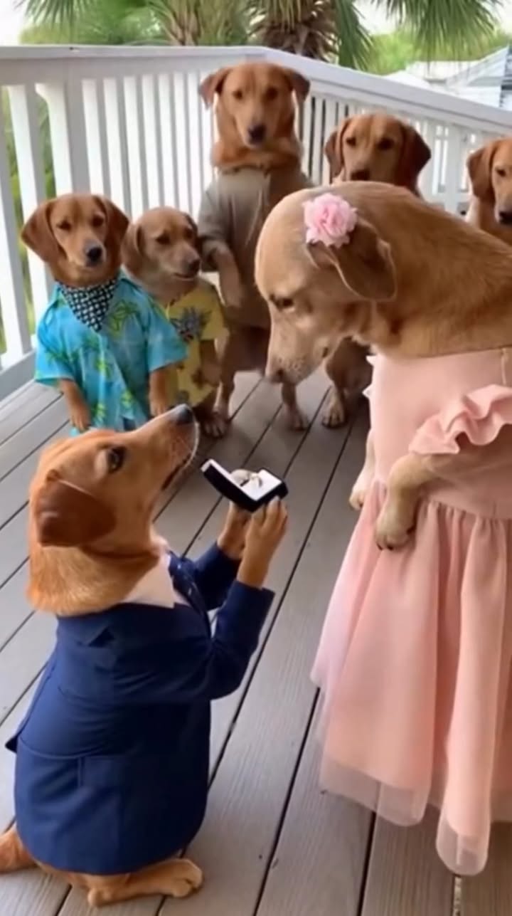 A Promise on the Porch