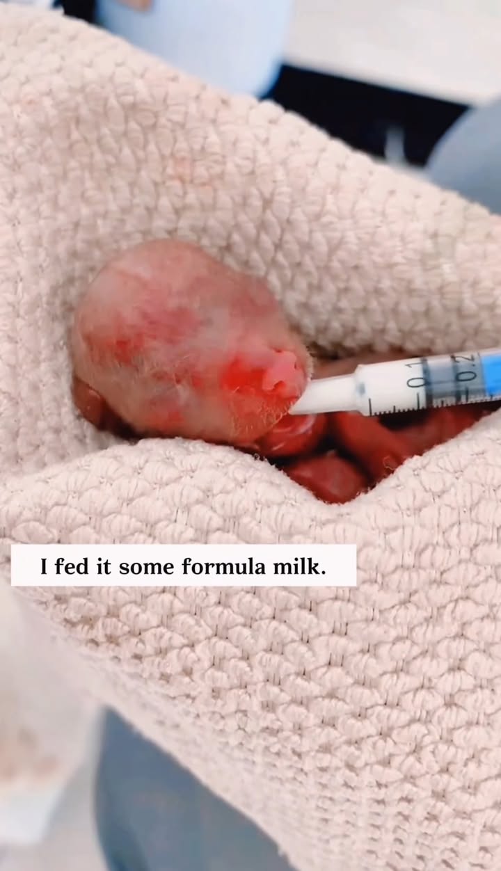 After the Rain, I Found You