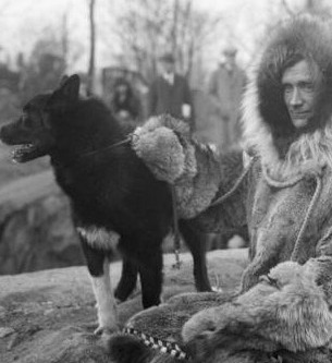 The True Story Of Balto, The Husky That Helped Save An Entire Alaskan Town From Certain Death