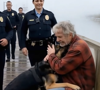 An Elderly Man Sat Alone on a Foggy Pier—Then a Police Dog Ran Straight to Him and Transformed the Moment