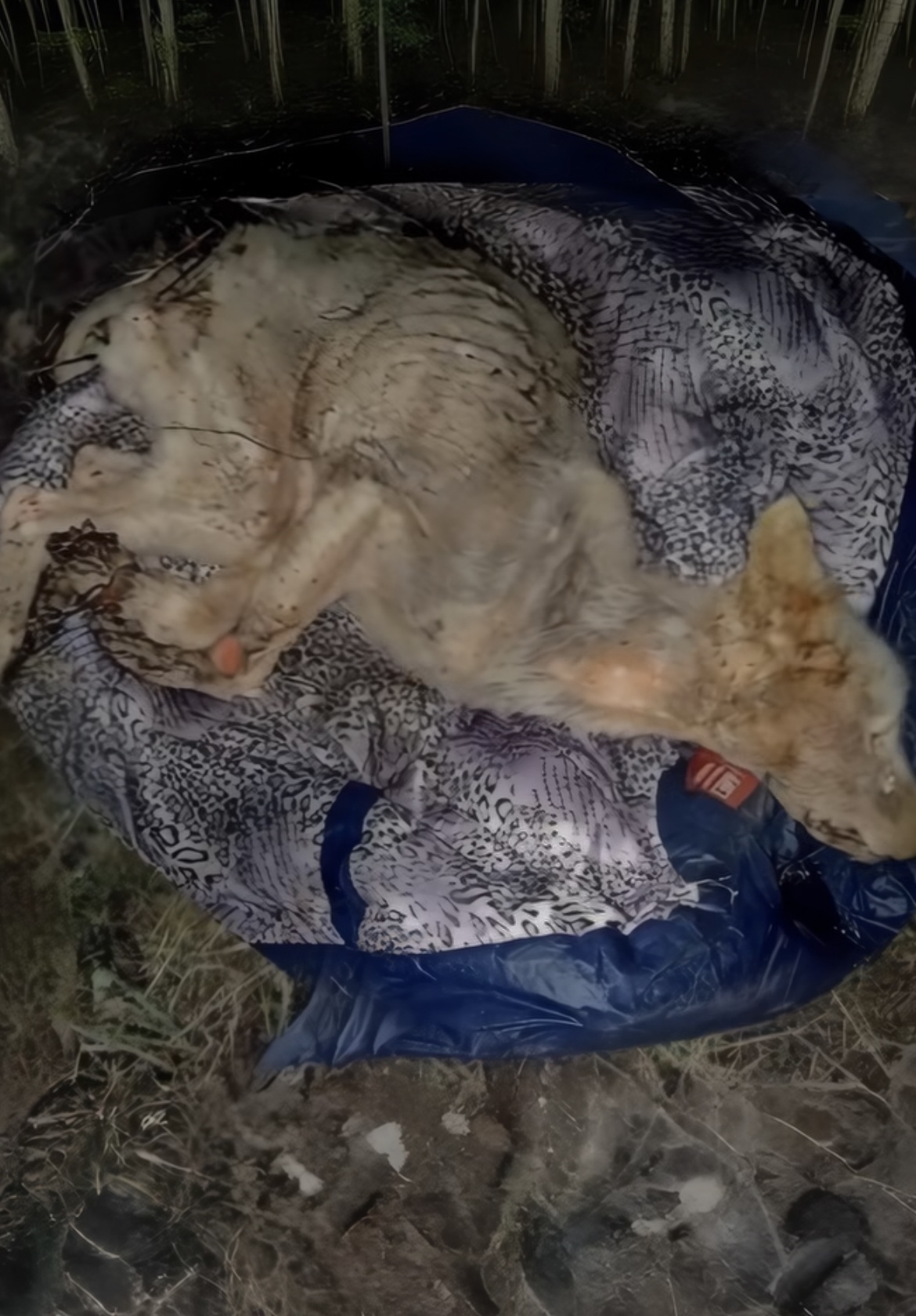 Tied up & left in the dark, they made sure she won’t live another day so not to reveal their crime