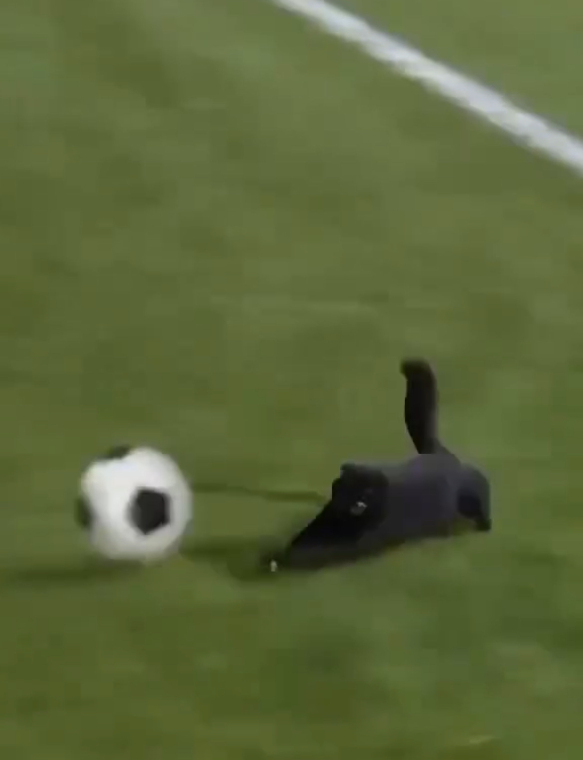 In 2015, cinema brought us a very sophisticated fantasy masterpiece starring spoiled Hollywood Blake Lively as Adeline Bowman, where the movie “Adeline’s Age” tells the story of a woman who is struck by lightning at 29, which makes her age stand still, i.e. that