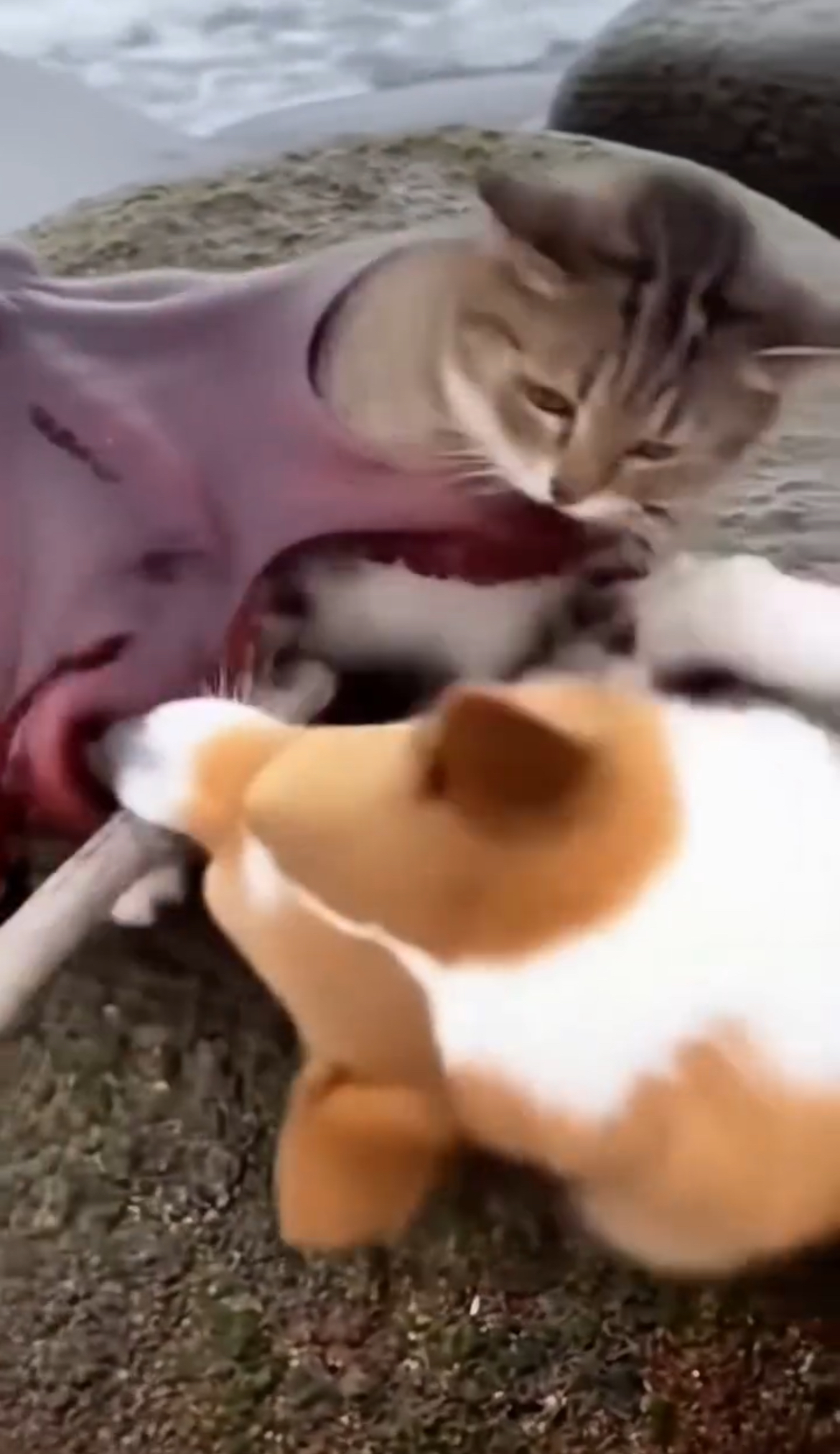 When the Sea Reached Out