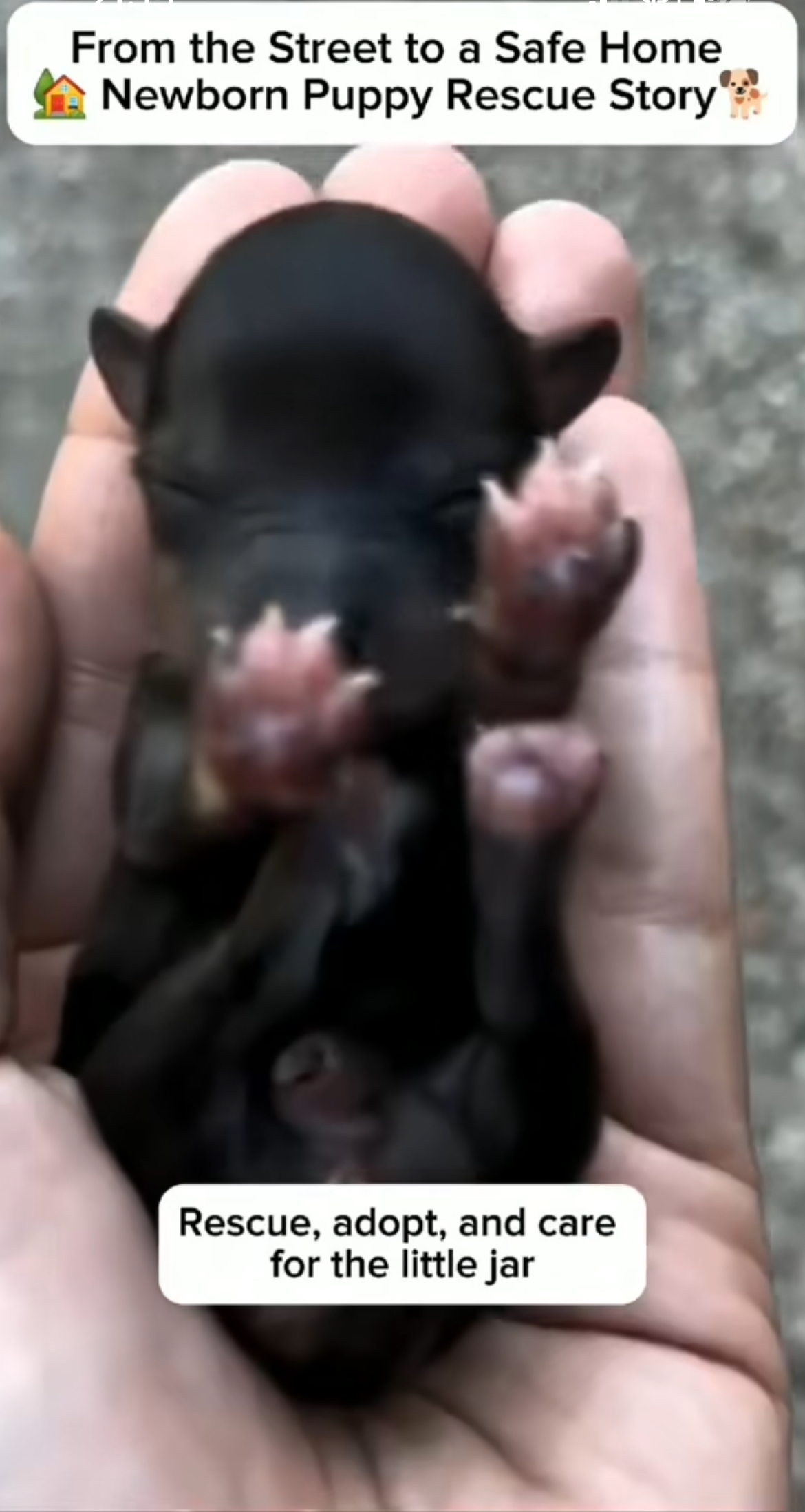 From the Street to a Safe Home – A New Beginning