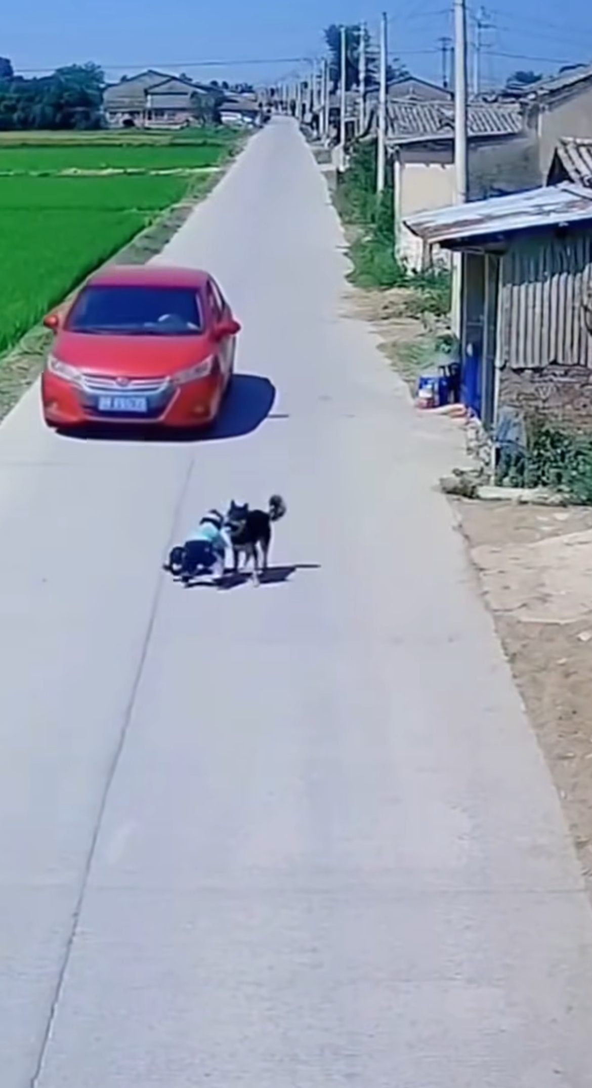 The Guardian of the Quiet Road