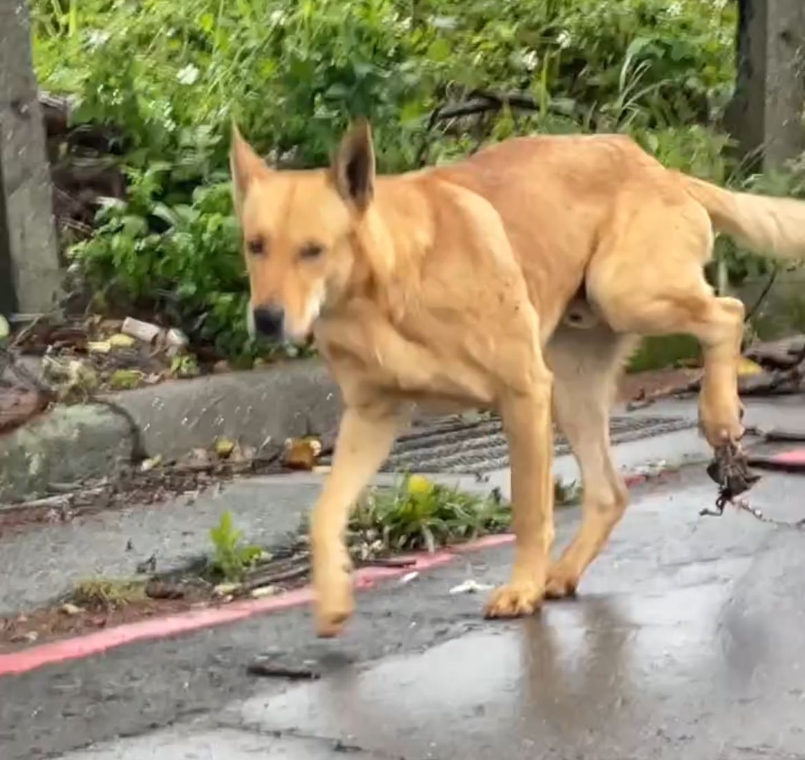 Yesterday New Year, we received a heartbreaking notification.