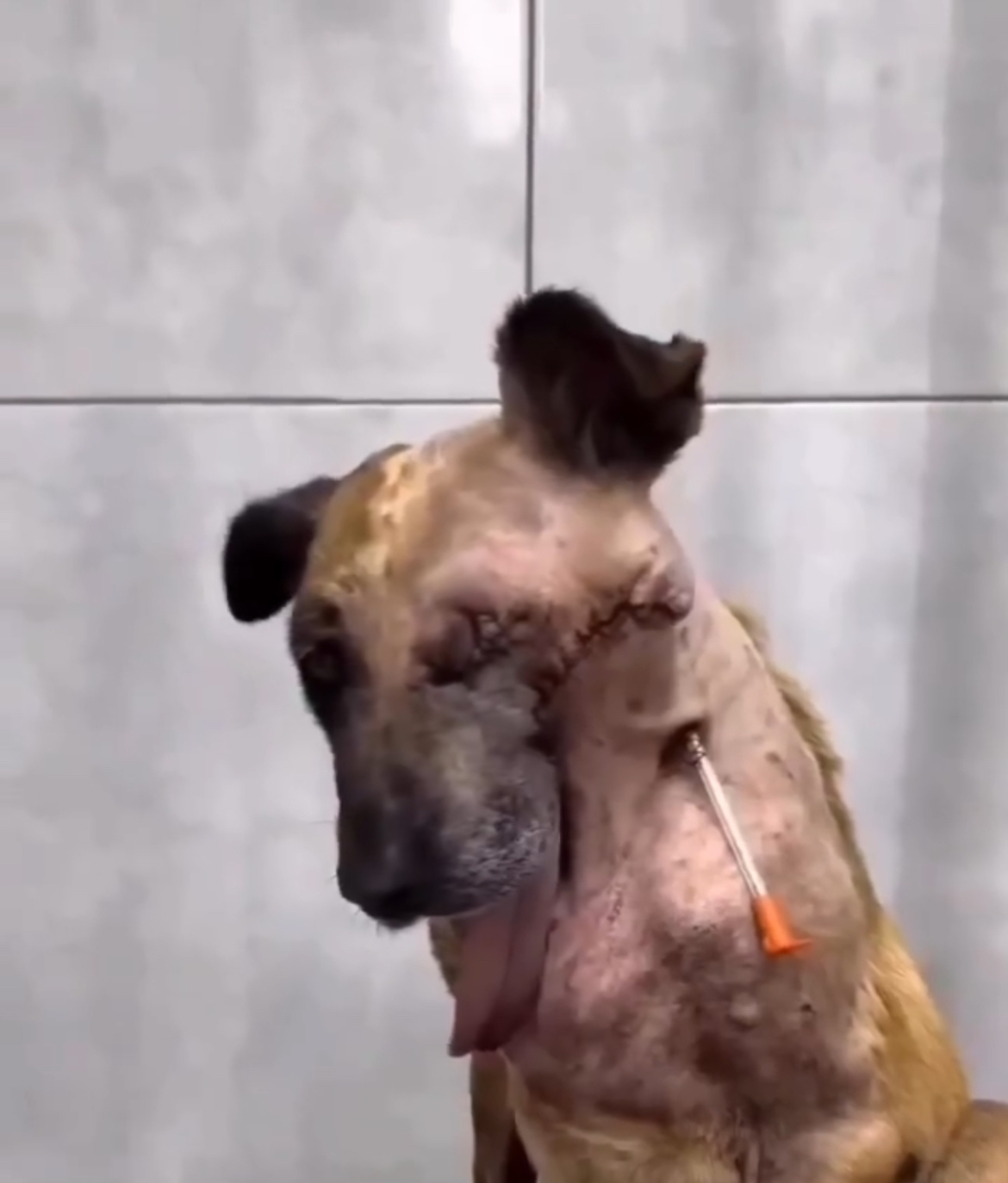 She doesn’t flinch because she’s calm.