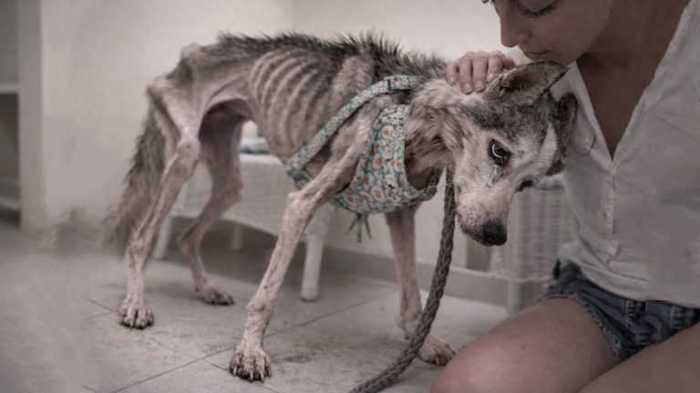 Reported Missing | For a Year He Starved Waiting Then Collapsed in Me Crying When I Called His Name.