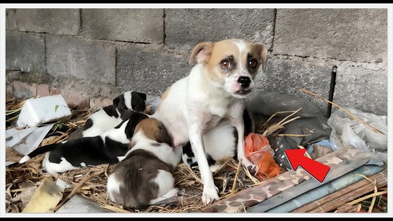 A Mother’s Incredible Act of Trust