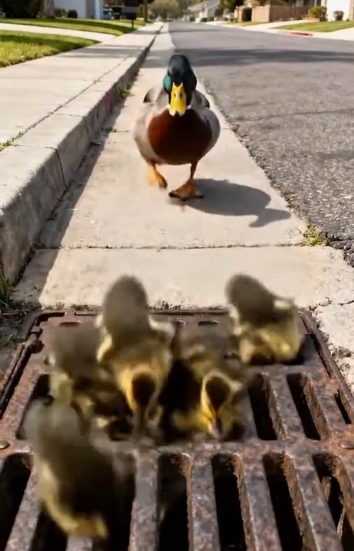 😶‍🌫️😶‍🌫️