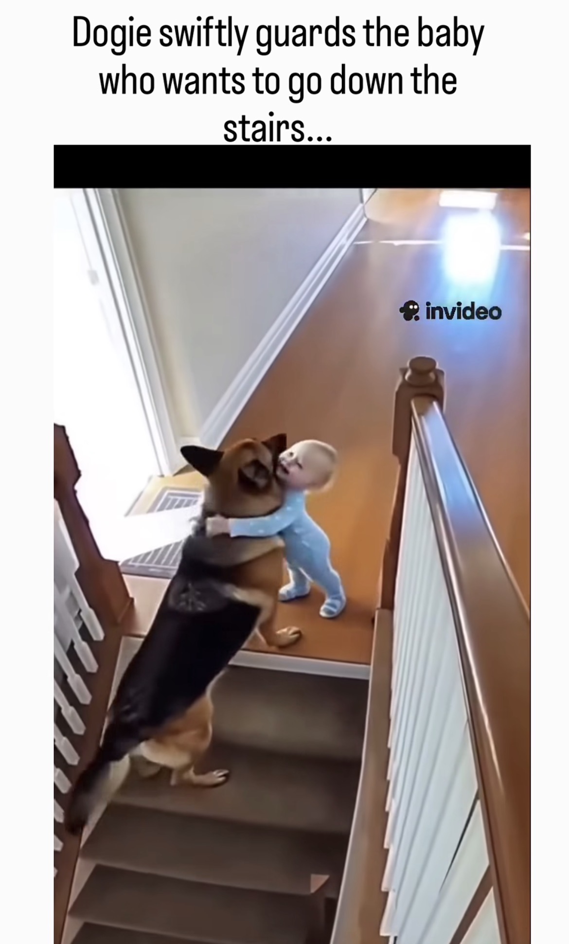 The Little Guardian of the Stairs