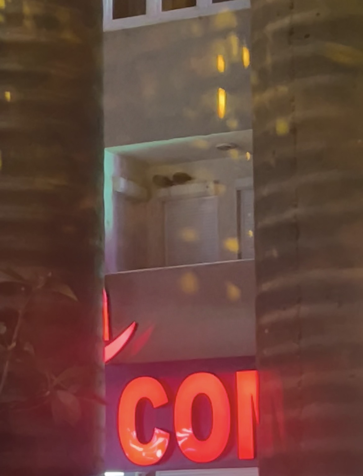 The Warmth of Two Hearts”