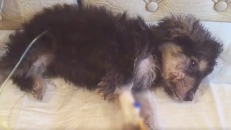 His mom used her body to help him survive the freezing cold and nostalgia for mom