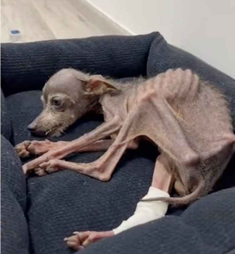 No one wanted her because of her condition, but I promised her lots of love