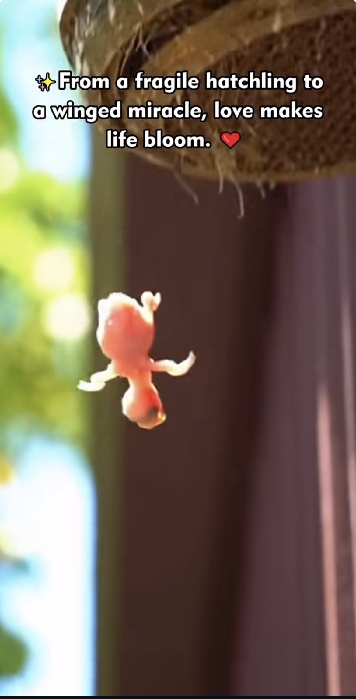 Wait… before you scroll… listen to this little story.