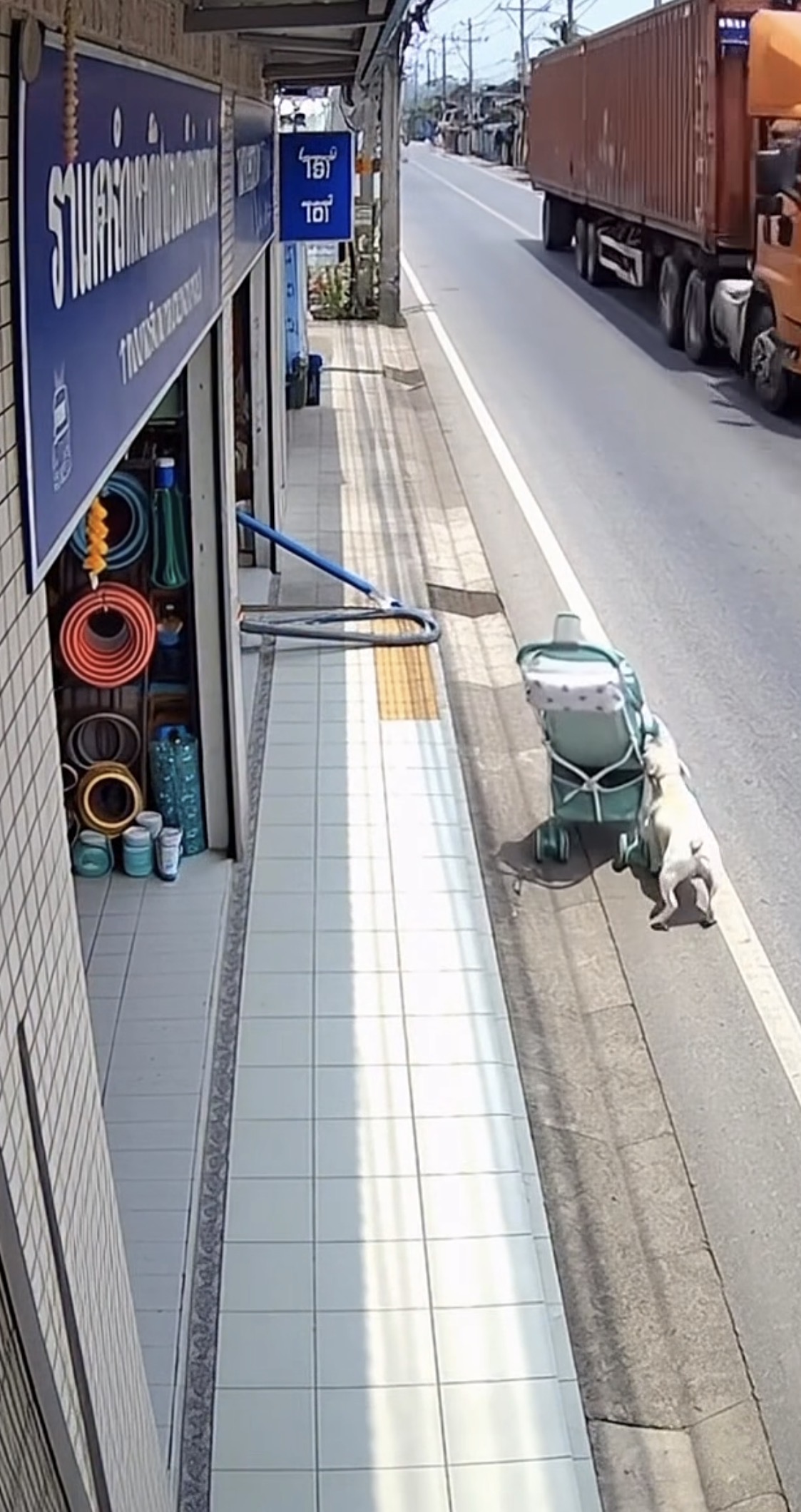 The Small Hero on the Sidewalk