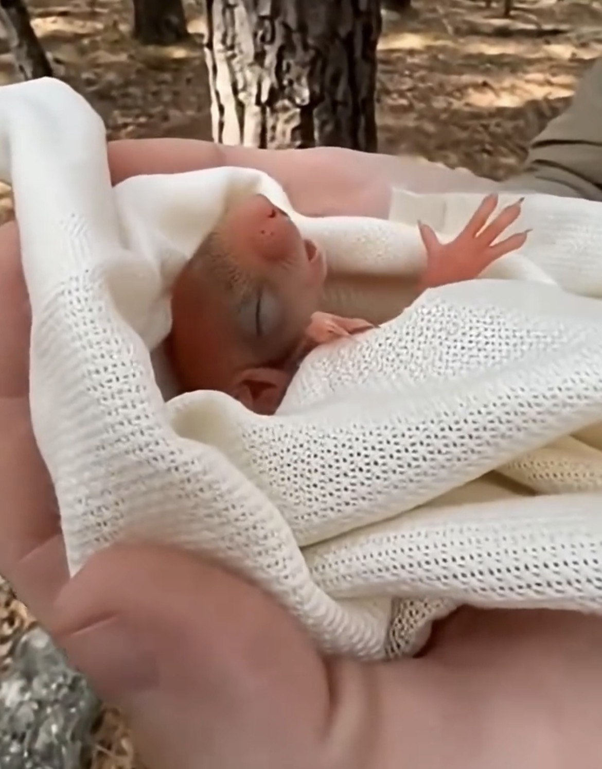 The Tiny Gift of the Forest