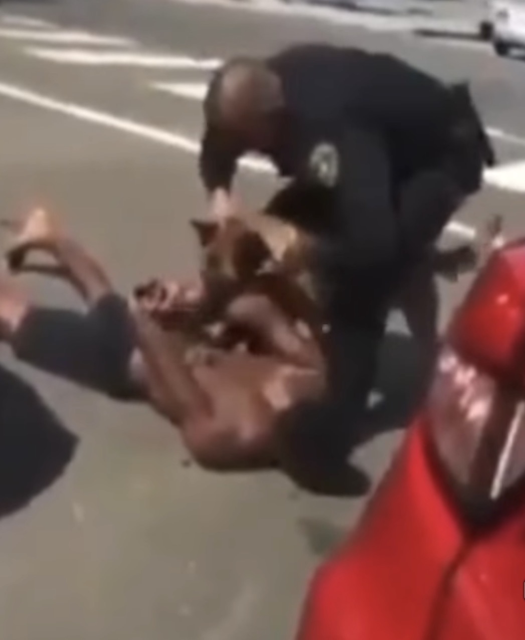 When a Dog Attacks”