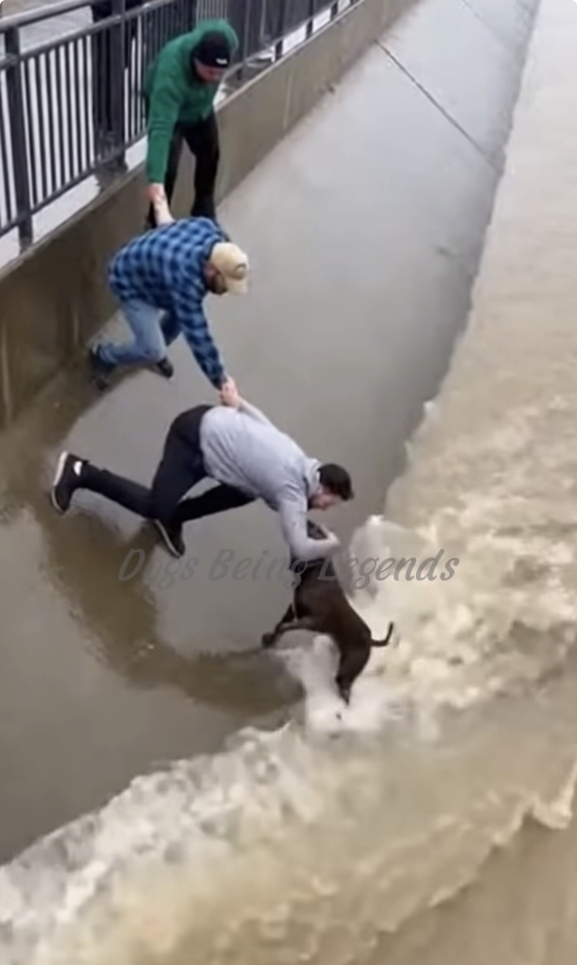 “Don’t let him go!”