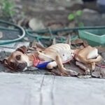 V4.140626-768x432